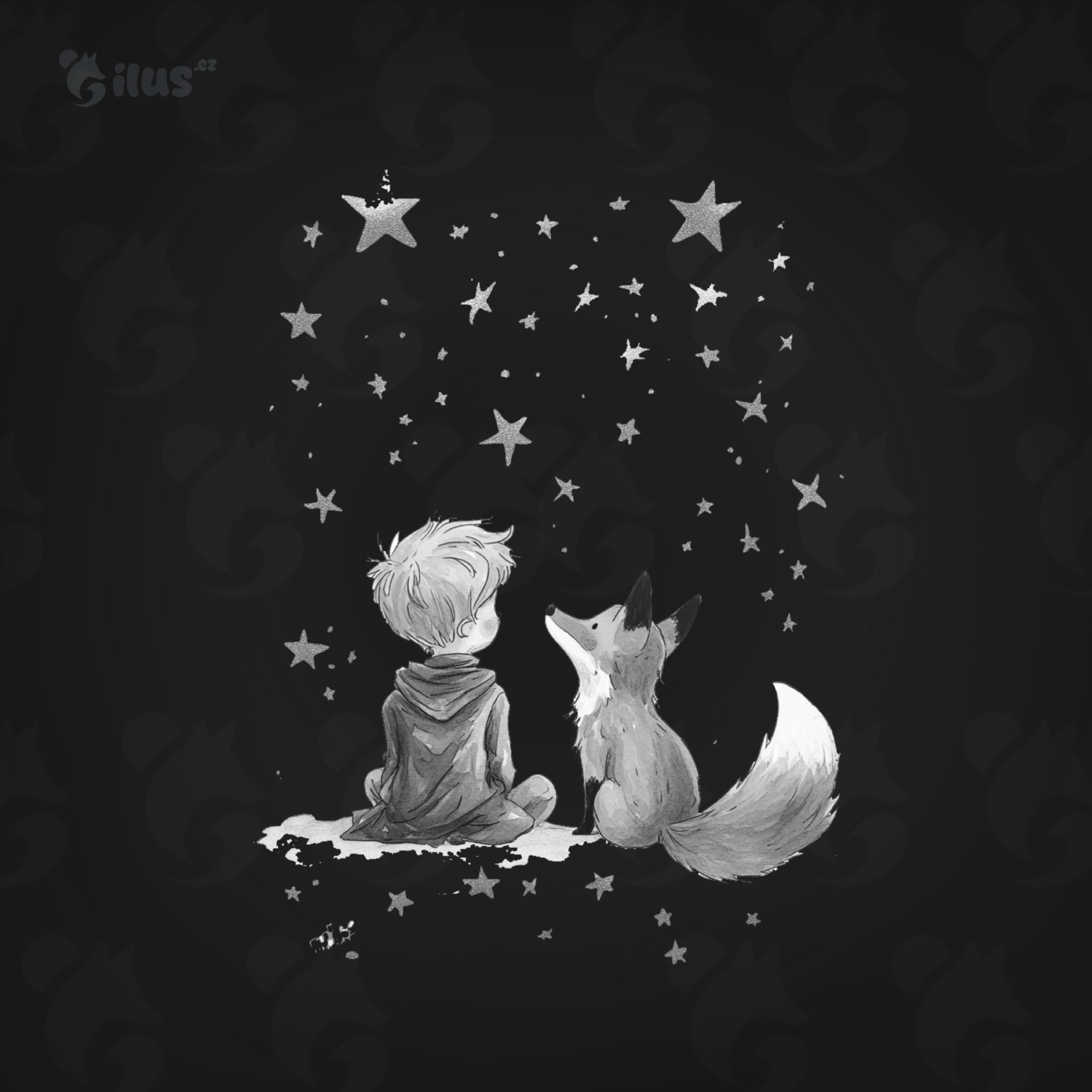 Pánské tričko - Společníci a hvězdy - Malý princ - Le petit prince