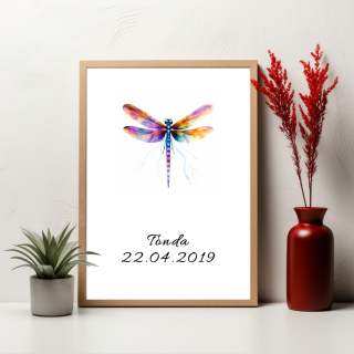 Plakát - Vážka