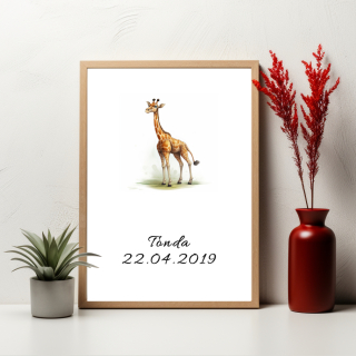 Plakát - Žirafa
