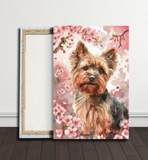 Obraz - Loajální Jorkšírský teriér