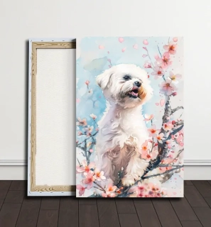 Obraz - Elegantní Maltézský psík