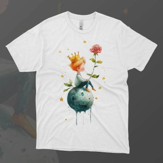 Pánské tričko - Koruna prince - Malý princ - Le petit prince