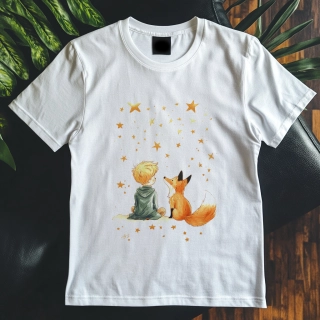 Pánské tričko - Společníci a hvězdy - Malý princ - Le petit prince