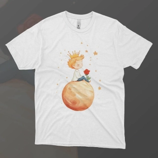 Pánské tričko - Tajemný úsměv - Malý princ - Le petit prince