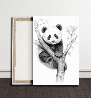 Obraz - Panda na větvi
