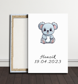 Obraz - Koala