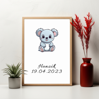 Plakát - Koala