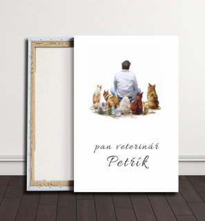 Obraz - Veterinář