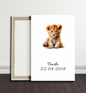 Obraz - Lvíče