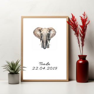 Plakát - Slon