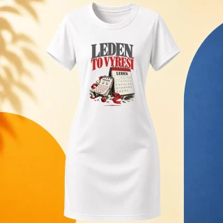 Šaty - Leden to vyřeší